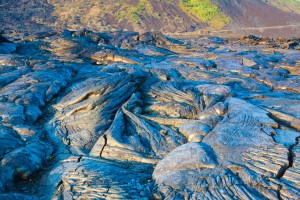 shutterstock_344068067